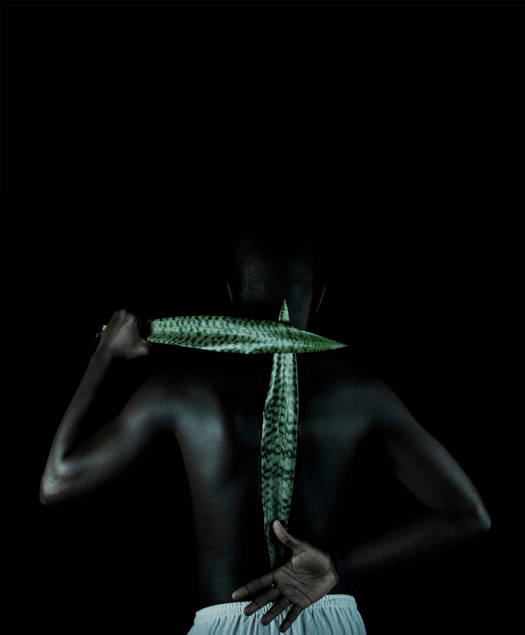 Imagens para o Futuro